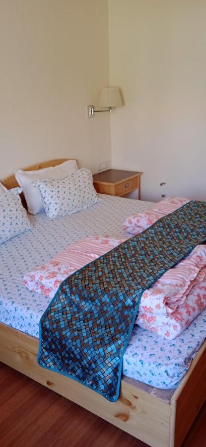 Lhardak Home Stay Лех Екстериор снимка